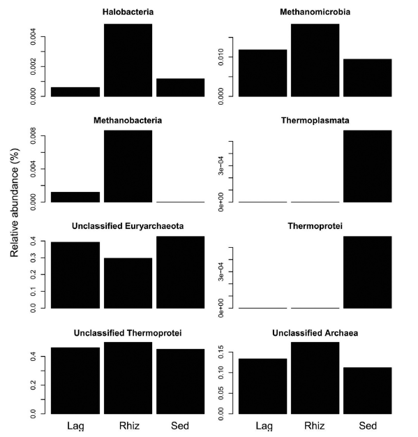 rhizosphere-microbiome05