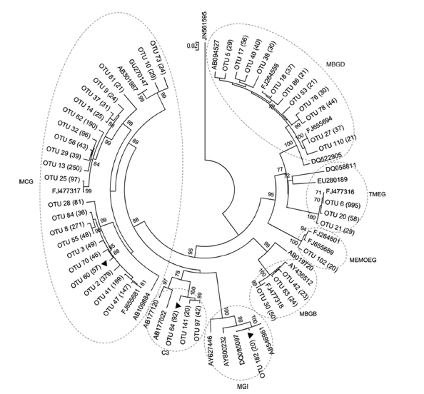 rhizosphere-microbiome07