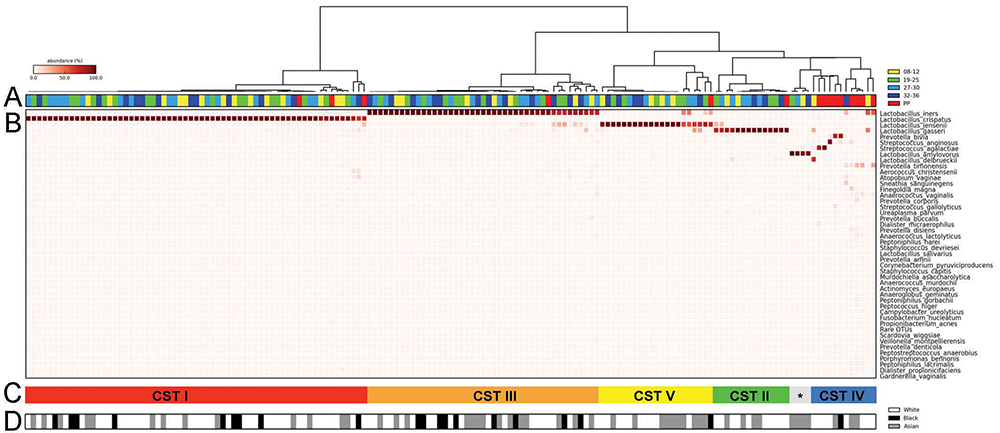 vaginal-microbiome03