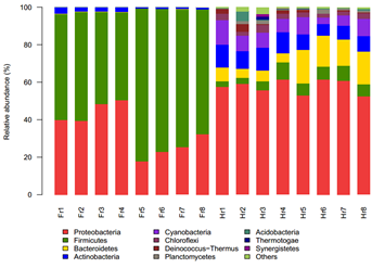 Metagenome-barplot