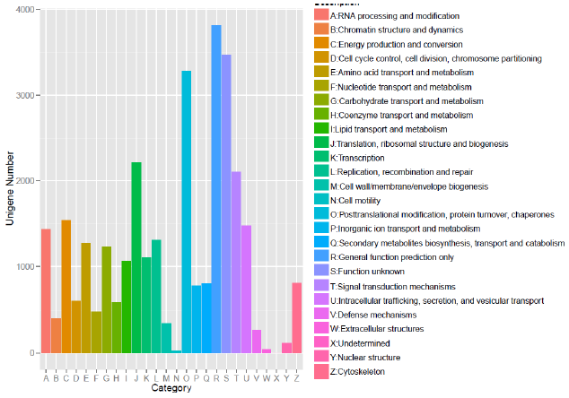 transcriptome-eggNOG