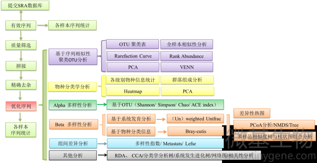 生物信息分析流程